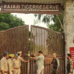 वाइल्डलाइफ बोर्ड से मंजूरी मिलते ही रेलवे ट्रैक बनेगा सुरक्षित, ट्रायल में पास हुआ AI सिस्टम