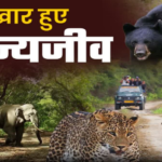 वन्यजीव संघर्ष के लिए बनेगी जनपद स्तरीय कमेटी, पंचायतों की भूमिका को मजबूत करने पर होगा बल
