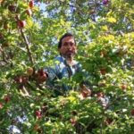 उत्तराखंड में फल और सब्जी उत्पादकों को मिलेगा आधुनिक कोल्ड स्टोरेज का लाभ, किसानों की आय बढ़ाने की दिशा में बड़ी पहल